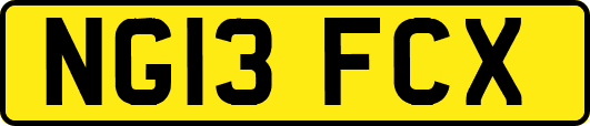 NG13FCX