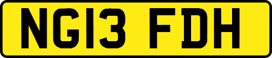 NG13FDH