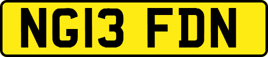 NG13FDN