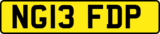 NG13FDP