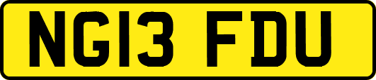 NG13FDU