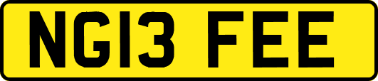 NG13FEE