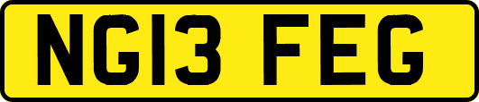 NG13FEG