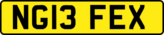 NG13FEX