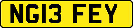 NG13FEY