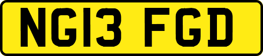 NG13FGD