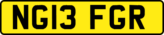 NG13FGR