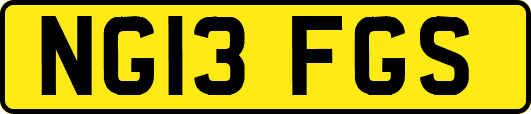NG13FGS