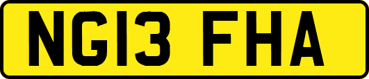 NG13FHA