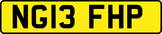 NG13FHP