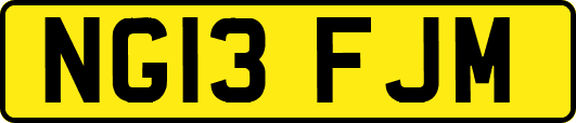 NG13FJM