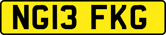 NG13FKG