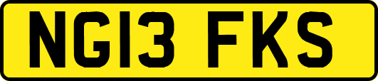 NG13FKS