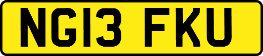 NG13FKU