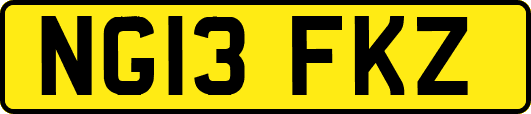 NG13FKZ