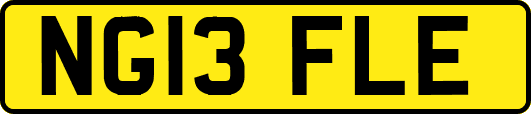 NG13FLE