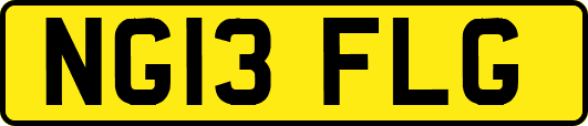 NG13FLG