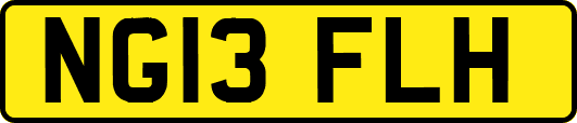 NG13FLH