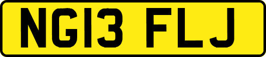 NG13FLJ