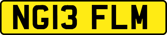 NG13FLM