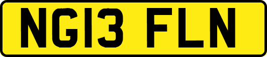 NG13FLN