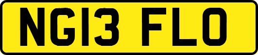 NG13FLO