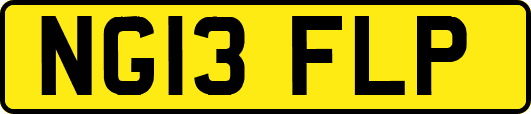 NG13FLP