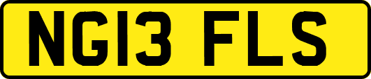 NG13FLS
