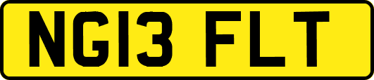 NG13FLT