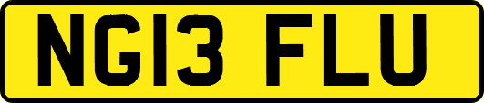 NG13FLU