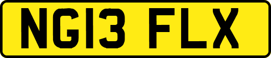 NG13FLX