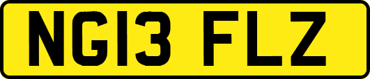 NG13FLZ
