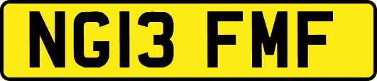 NG13FMF