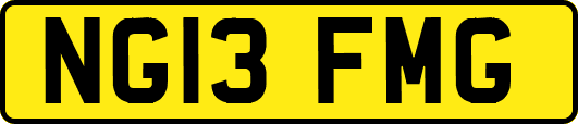 NG13FMG