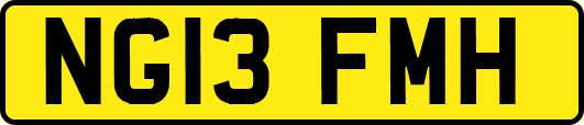 NG13FMH
