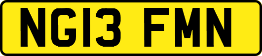 NG13FMN