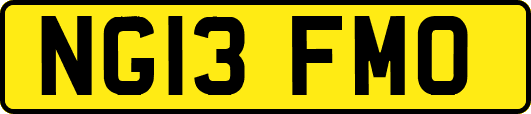 NG13FMO