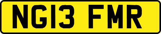 NG13FMR
