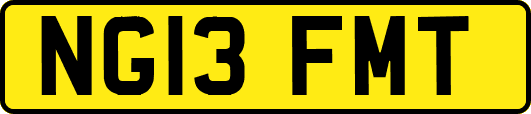 NG13FMT