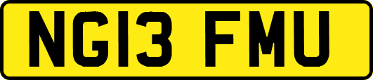 NG13FMU