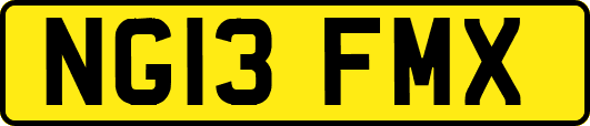 NG13FMX