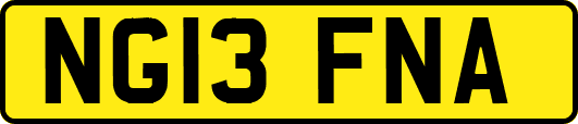 NG13FNA