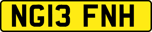 NG13FNH