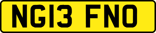 NG13FNO