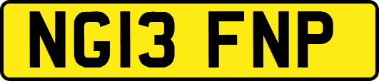 NG13FNP