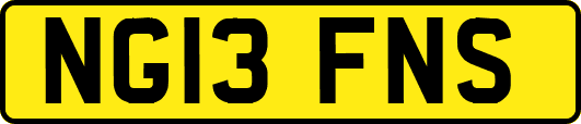 NG13FNS