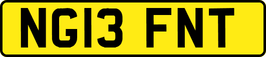 NG13FNT