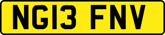 NG13FNV