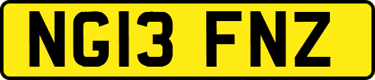 NG13FNZ