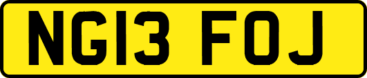 NG13FOJ